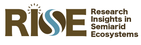 RISE Logo